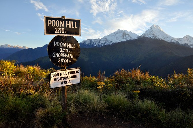 Ghorepani Poonhill Trek 5 Days from Pokhara - Day 1: Pokhara to Nayapul, then the long climb to Ulleri