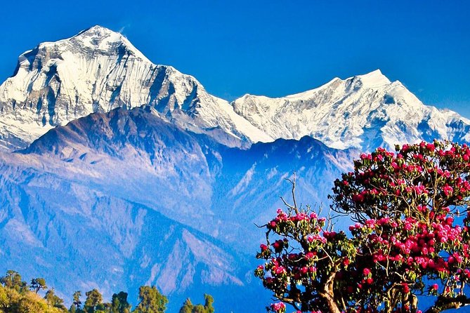 Ghorepani Poonhill Trek -8 Days - Day 3: From Pokhara to Nayapul, then on to Ulleri