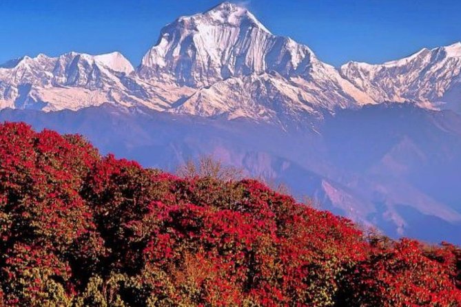 Ghorepani Poonhill Trek -8 Days - Day 2: The long road to Pokhara