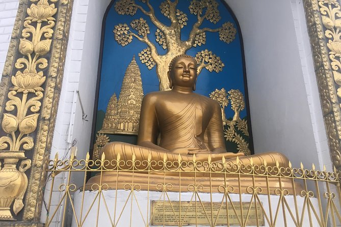 Guided Tour to explore the entire Pokhara City - Phewa Tal and the island temple