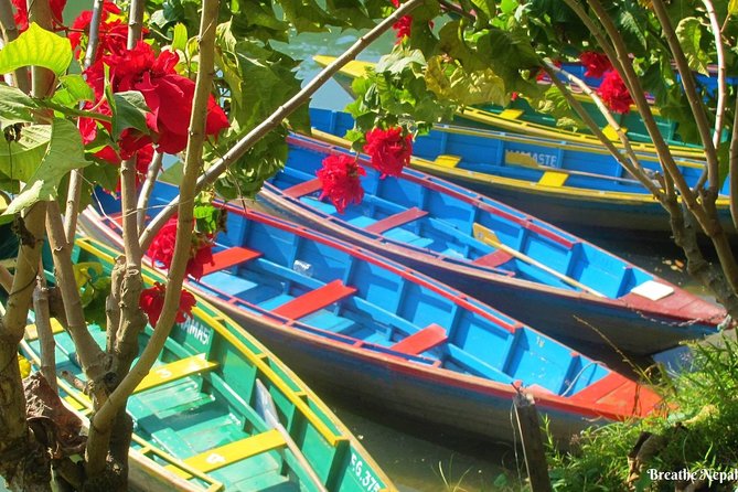 Half-Day Private Pokhara Tour - What the private guide adds