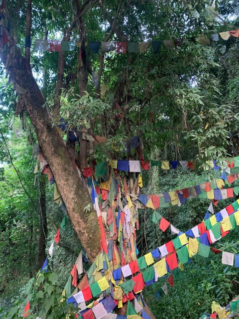 Healing Day tour - Shaman Healing - Sharing food with a Nepali family