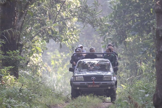 Jungle Towernight Stay: 4-Day Tour in Chitwan National Park - Should you book the Jungle Towernight Stay?
