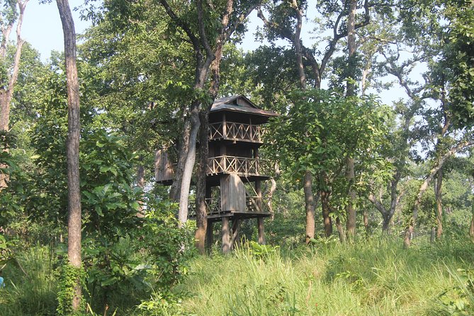 Jungle Towernight Stay In Chitwan National Park ,nepal-2 Nights 3 Days Package - Key points to know before booking