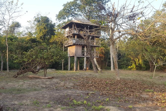 Jungle Towernight Stay In Chitwan National Park ,nepal-2 Nights 3 Days Package - A jungle sleep that is more than a hotel night