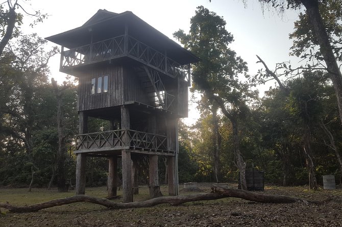 Jungle Towernight Stay In Chitwan National Park ,nepal-2 Nights 3 Days Package - Jungle walking and bird watching