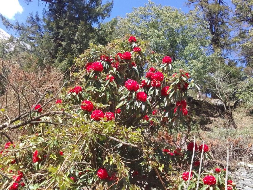 Kathmandu: 10-Day Adventurous Annapurna Circuit Trek - Day 4: Upper Pisang to Manang beneath Annapurna peaks