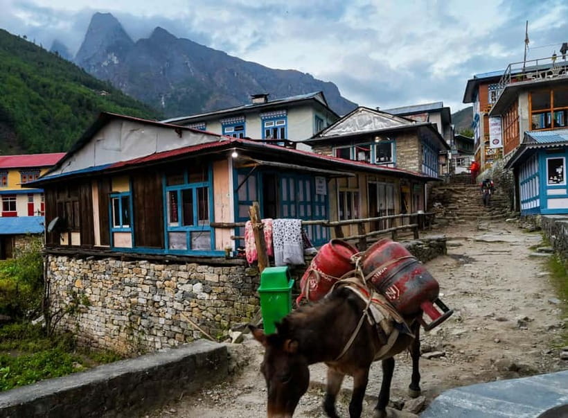 Kathmandu: 15-Day Everest Base Camp Trek with Guide - Day 3: The Lukla flight and the first walk to Phakding