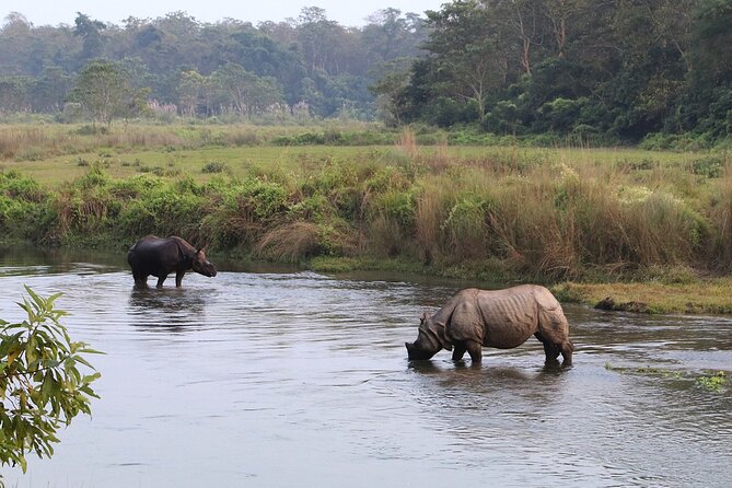 Kathmandu 2 Nights 3 Days Chitwan Jungle Safari Tour - From Kathmandu to Chitwan in one long day