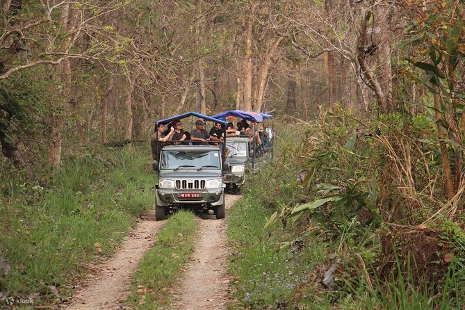 Kathmandu 2 Nights 3 Days Chitwan Jungle Safari Tour - Walking through the forest after the water