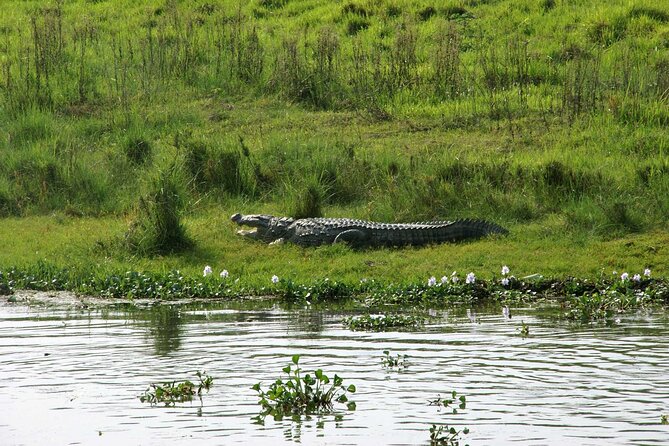 Kathmandu 2 Nights 3 Days Chitwan Jungle Safari Tour - A quiet canoe ride on the Rapti River