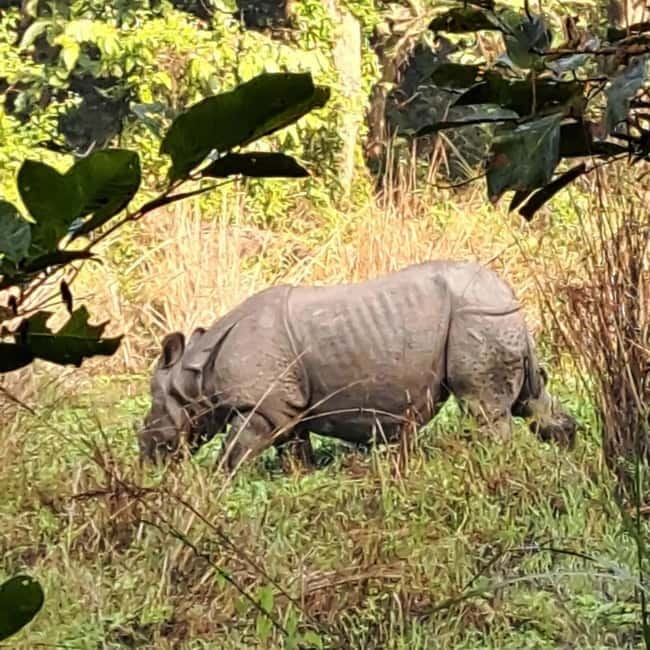 Kathmandu: 3-Day Chitwan Safari Tour with Hotel Transfers - From Kathmandu to the edge of Chitwan