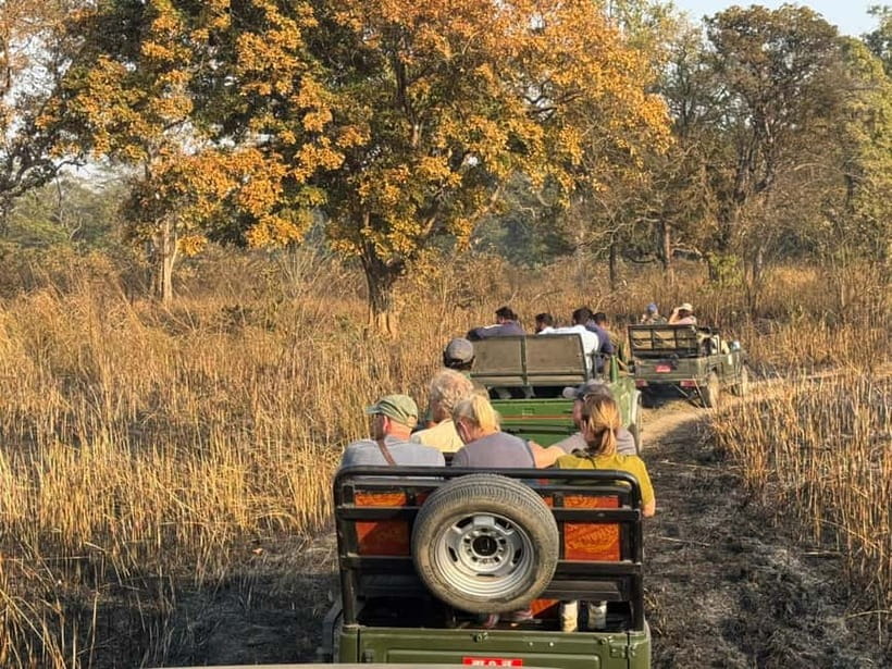 Kathmandu: 3-Day Chitwan Safari Tour with Hotel Transfers - The Jeep safari and Chitwan’s wildlife