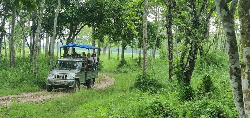 Kathmandu: 3-Day Chitwan Safari Tour with Hotel Transfers - Is $151 a good deal?
