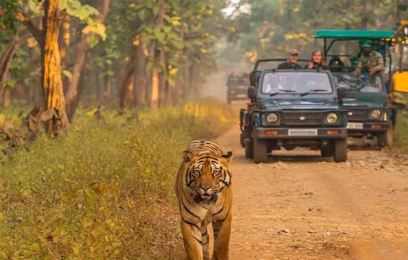 Kathmandu: 4-Day Private Chitwan National Park Safari Tour - Elephant breeding center and Tharu culture