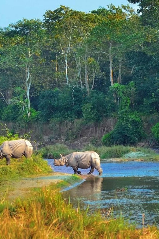 Kathmandu: 4-Day Private Chitwan National Park Safari Tour - Is $202 good value?
