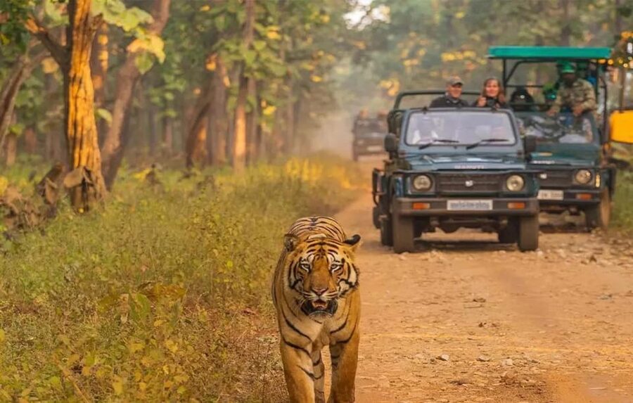 Kathmandu: 4-Day Private Chitwan National Park Safari Tour - Your Chitwan base and what the price covers
