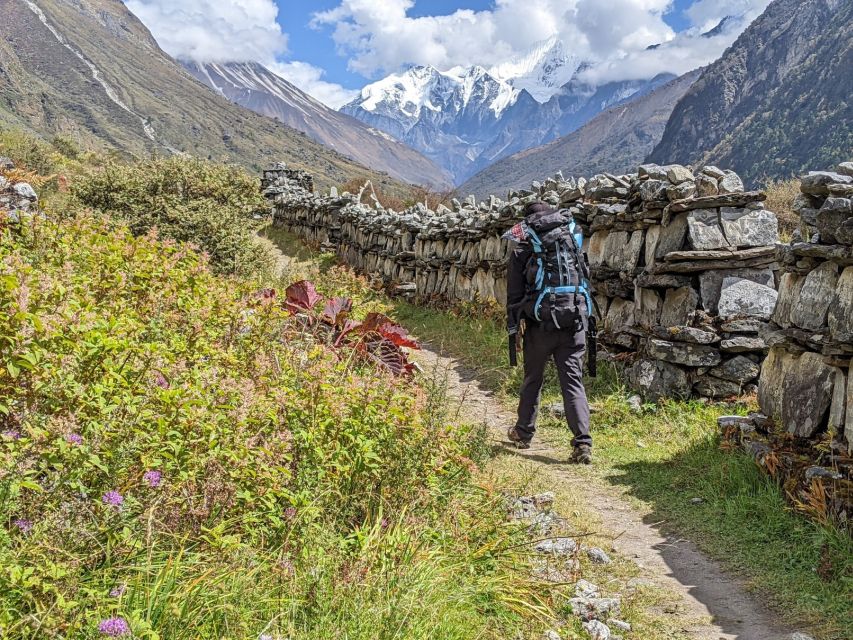 Kathmandu: 6-Day Limitless Langtang Trek - Key points to know before you book