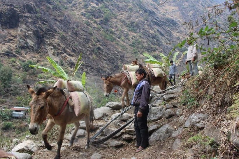 Kathmandu: 9-Day Annapurna Circuit Trek via Thorong La Pass - Day 8: Thorong La Pass to Muktinath before the winds rise