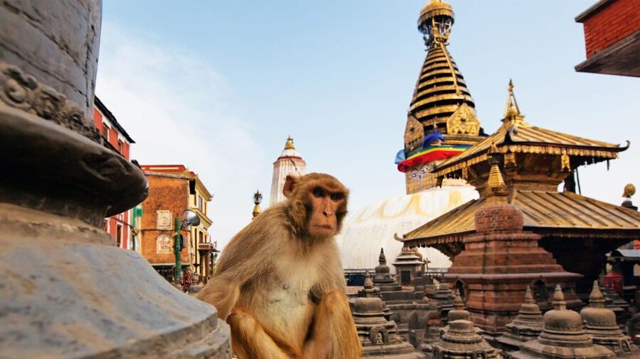 Kathmandu: Chandragiri cable car & Swayambhunath Tour - Two Kathmandu Views in One Day