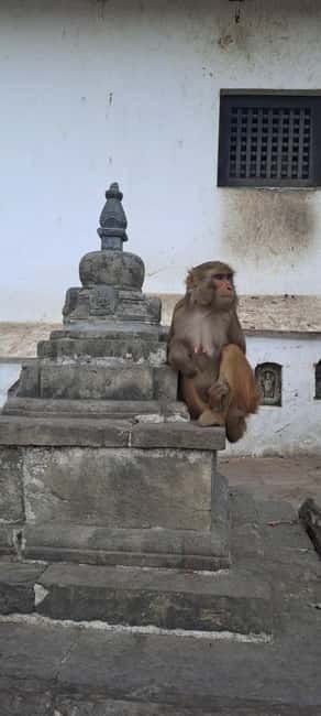 Kathmandu: Chandragiri cable car & Swayambhunath Tour - Lunch Between the Hills and the Stupa