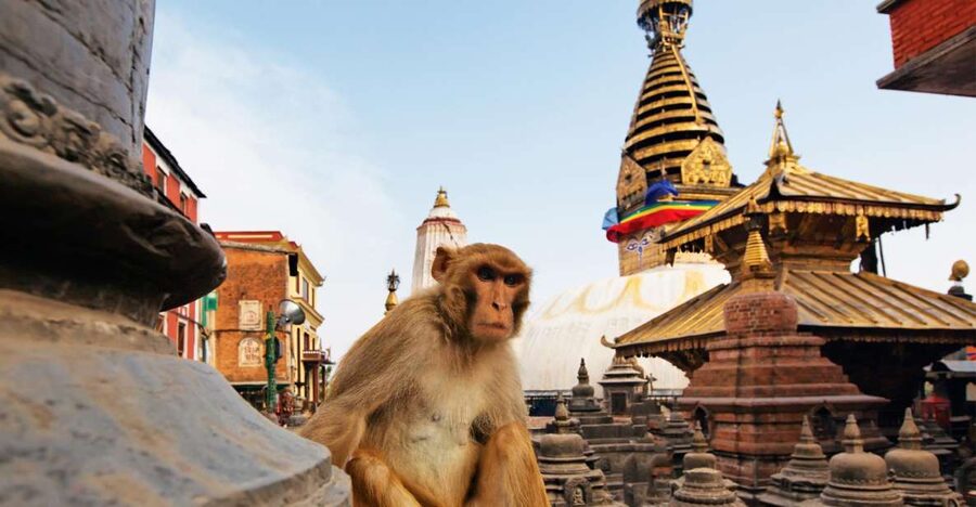 Kathmandu: Chandragiri cable car & Swayambhunath Tour - Rising Above Kathmandu on the Chandragiri Cable Car