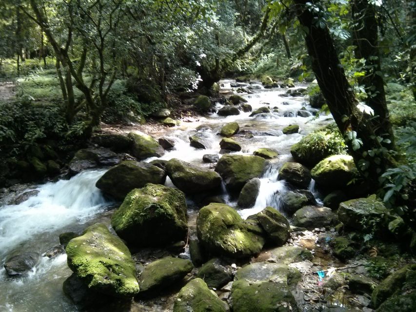 Kathmandu: Chisapani Nagarkot 3-Days 2-Nights Trek - Day 2: Chisapani to Nagarkot, the longest walking day