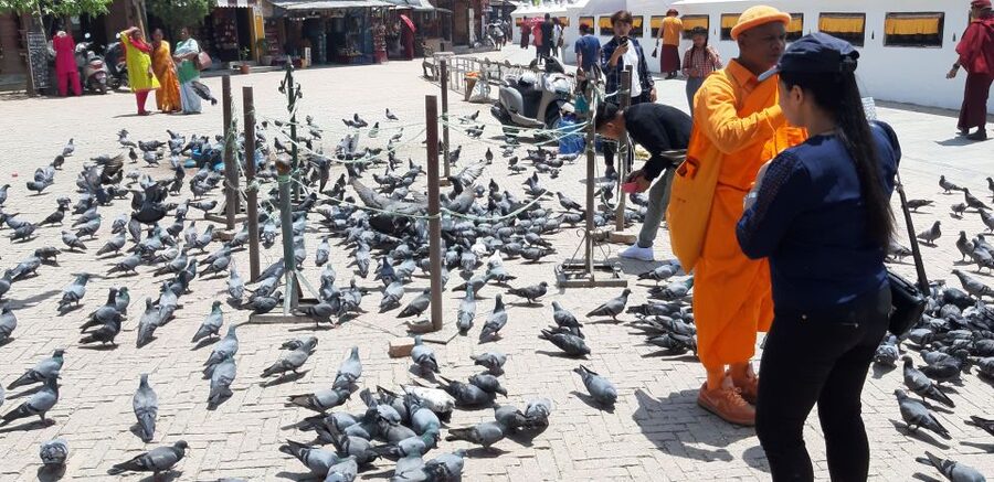Kathmandu: Guided -Day Tour of World Heritage Sites - Patan Durbar Square and Newar craftsmanship