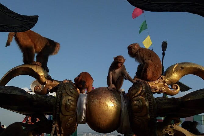 Kathmandu Heritage Tour (Full Day) - Transport, pickup, and the solo surcharge
