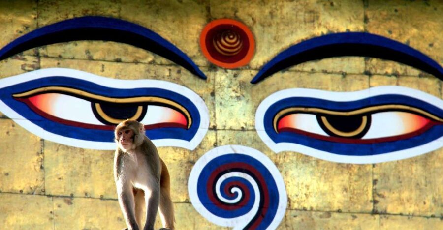 Kathmandu: Monkey Temple and Chandragiri Cable Car Ride Tour - Key points to know before you go