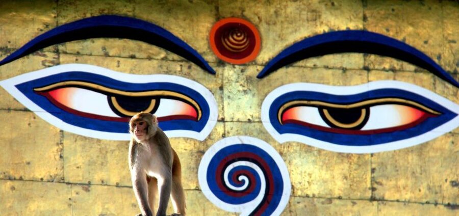 Kathmandu: Monkey Temple and Chandragiri Cable Car Ride Tour - Descending for Swayambhunath and its famous monkeys