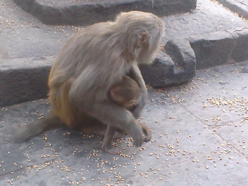 Kathmandu: Monkey Temple and Chandragiri Cable Car Ride Tour - Practical advice for a smoother day