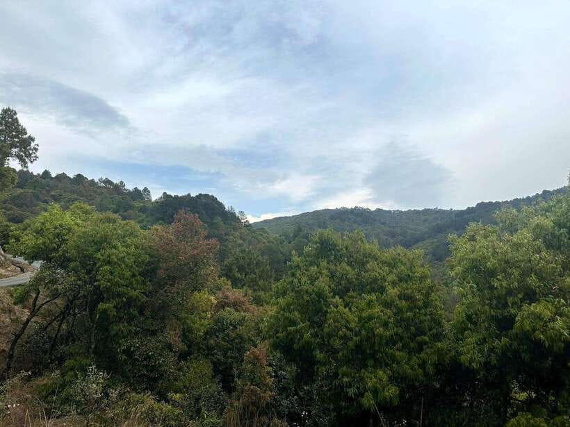Kathmandu: Nagarkot Sunrise & Hiking to Changunarayan - Walking through trees, fields, and rolling hills