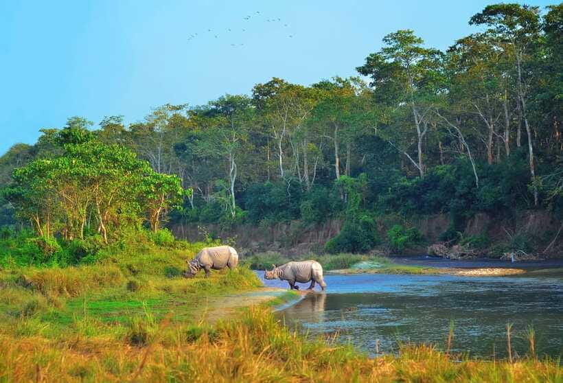 Kathmandu/Pokhara: 3 Day Chitwan Jungle Safari Tour - Practical tips for a smoother three days