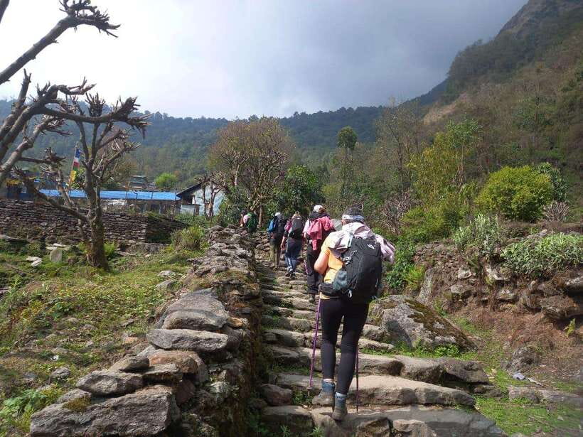 Kathmandu/Pokhara: 5-Day Annapurna Base Camp (ABC) Trek - Tea houses, food, and daily comfort