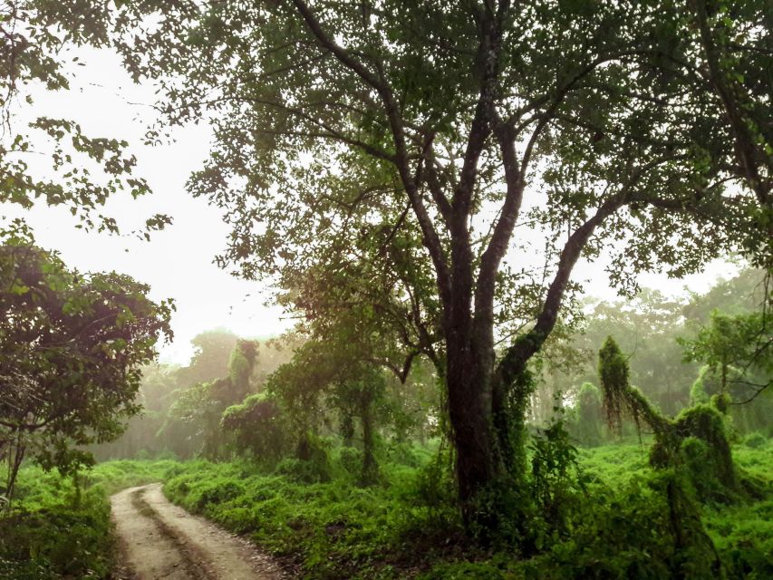 Kathmandu/Pokhara: Wildlife, Culture and Jungle Safari Tour - Key points to know before booking