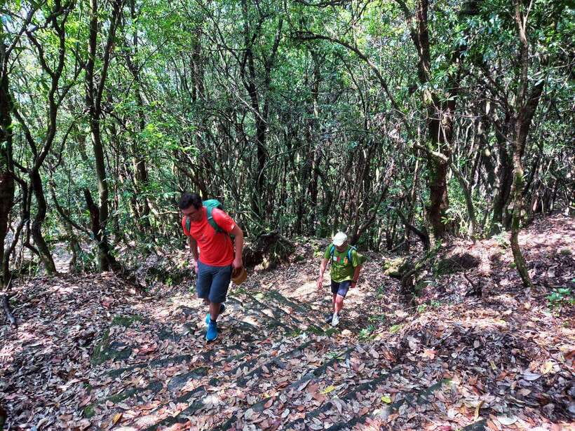 Kathmandu: Shivapuri Day Hike with Lunch - Private guiding and the value of the $3.80 price