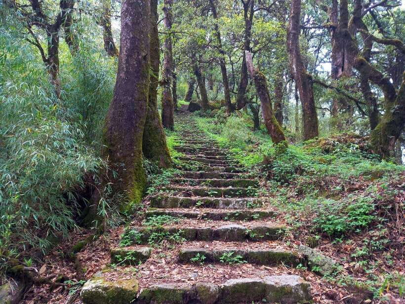 Kathmandu: Shivapuri Day Hike with Lunch - Who should take this hike