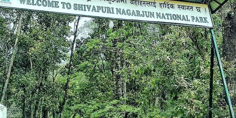 Kathmandu: Shivapuri National park Day Hiking - Who should book this hike