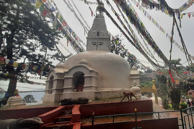 Kathmandu Top 4 or 2 UNESCO World Heritage Sites Day Tour - Boudhanath’s Tibetan Buddhist circle