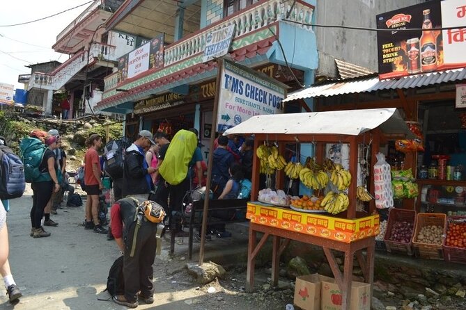 Kathmandu Walking Tour - What is included, and what costs extra