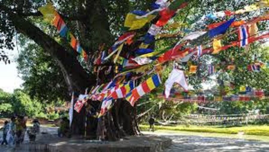 Lumbini Full day tour with Guide - Why Lumbini deserves a full day