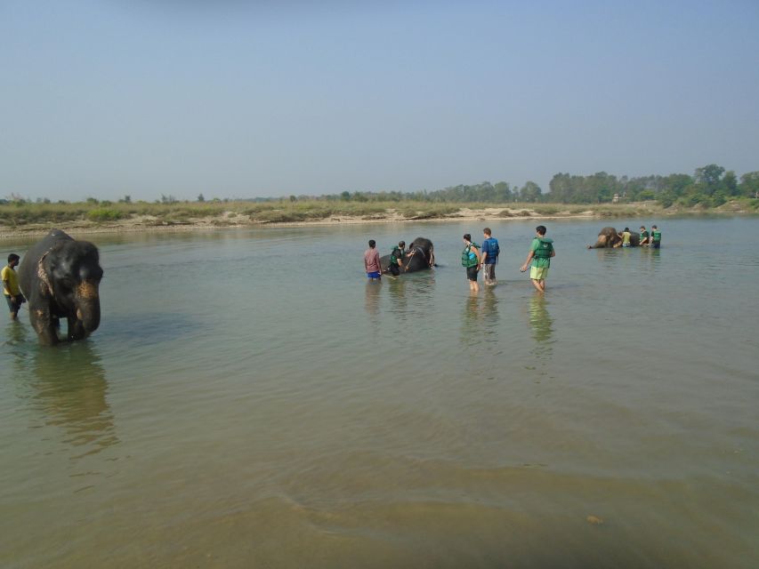 Luxury Chitwan Jungle Safari Package (2Nights/3Days) Resort - Arrival, resort room, and meals