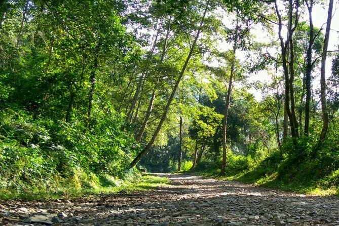 Manakamana Darshan- Day Tour - Who should book Manakamana Darshan