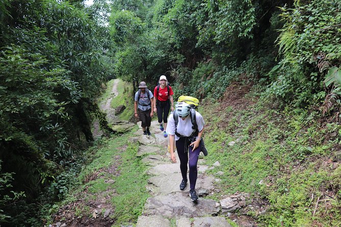 Mardi Himal Base Camp Trek (5 Days) - Key points to know before you book
