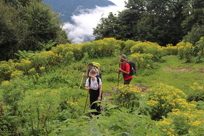 Mardi Himal Base Camp Trek (5 Days) - Day 1: Pokhara Lakeside to Forest Camp