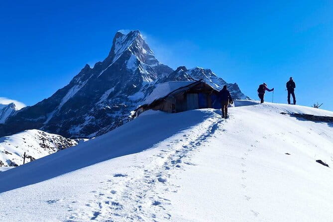 Mardi Himal Base Camp Trek from Pokhara 4 Days - Day two: Forest Camp to Mardi High Camp