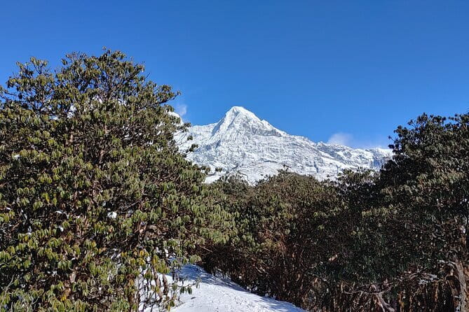 Mardi Himal Trek - Kathmandu to Pokhara: a quick start with two cities