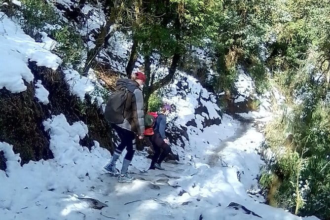 Mardi Himal Trek - Day 5: Siwai and the return to Pokhara