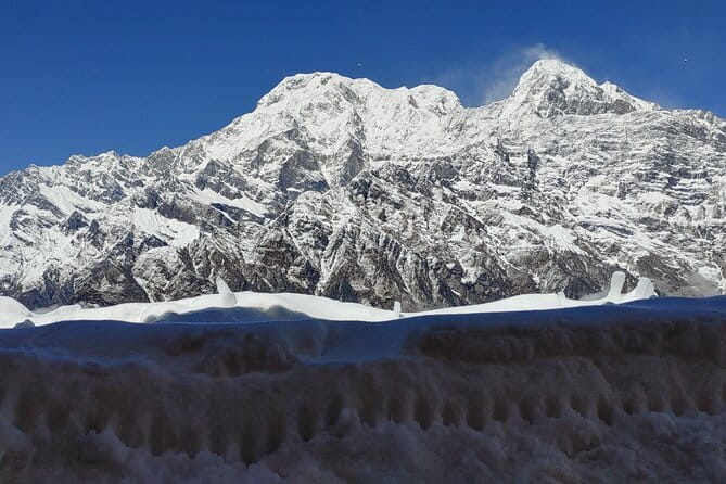 Mardi Himal Trek - Forest Camp and Low Camp: the trail turns serious